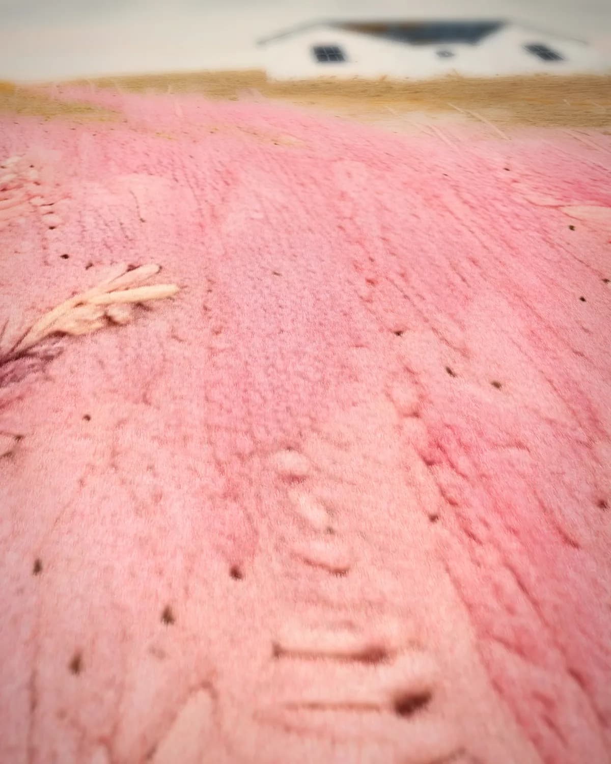 Roze Rustiek op geweven fluweel, uitsnede 1 van 3