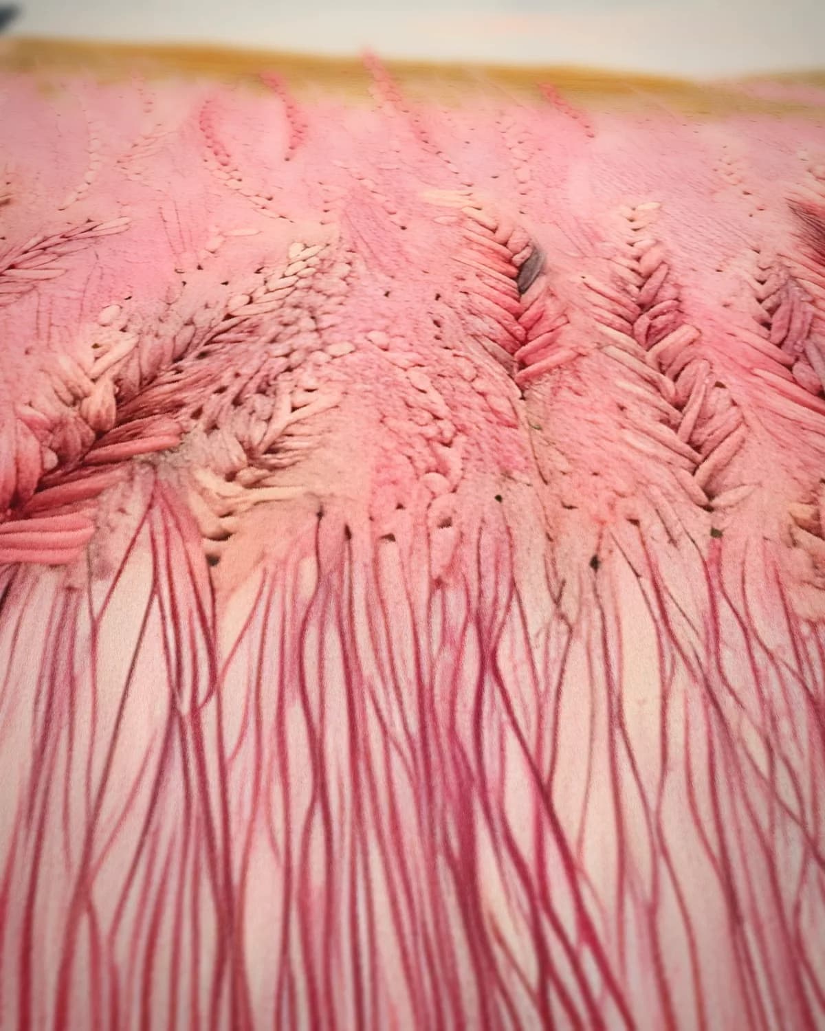 Roze Rustiek op geweven fluweel, uitsnede 3 van 3