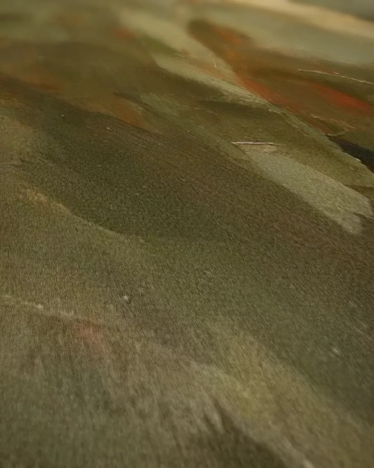Rug en schouderblad op geweven fluweel, uitsnede 2 van 3