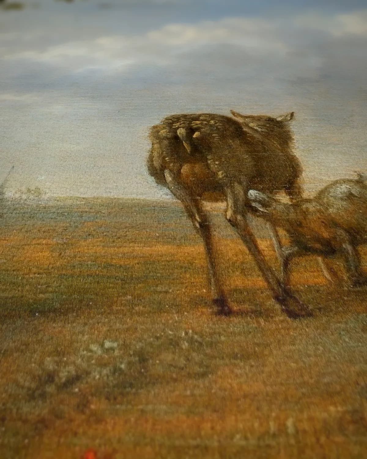 Rustende dieren in de weide op geweven fluweel, uitsnede 1 van 3