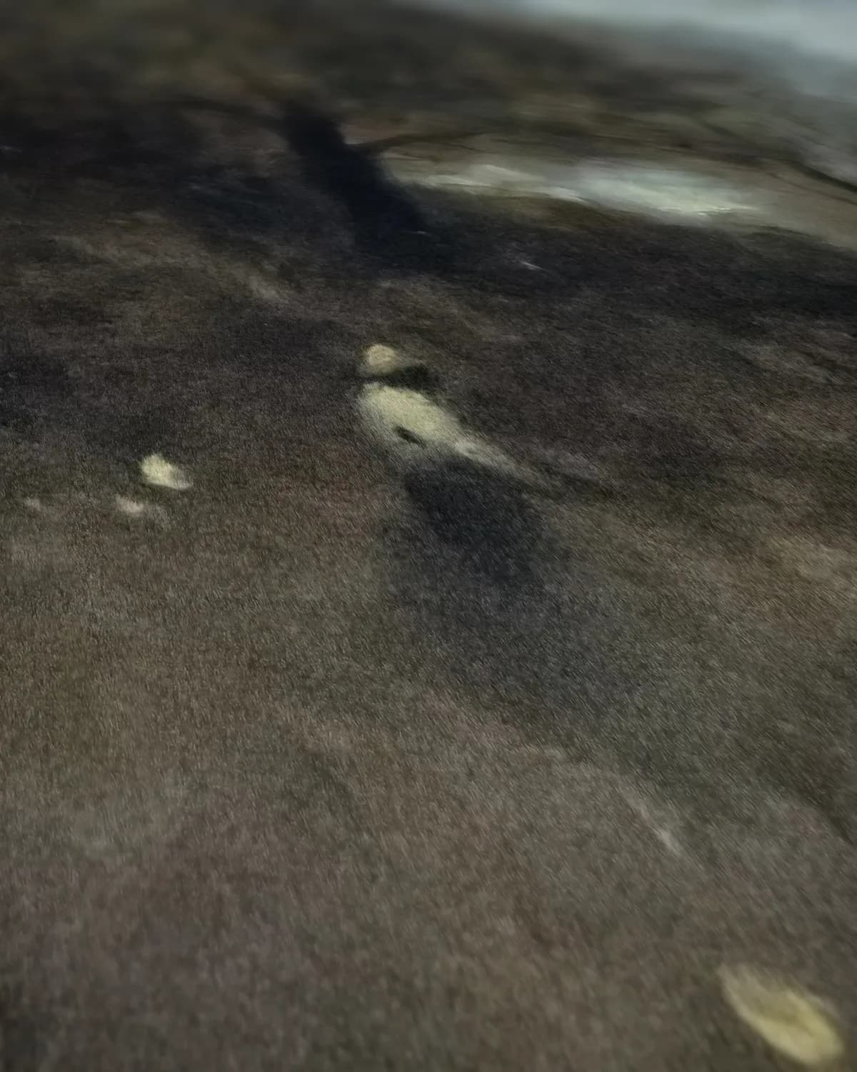 Rustiek landschap met vee op geweven fluweel, uitsnede 2 van 3