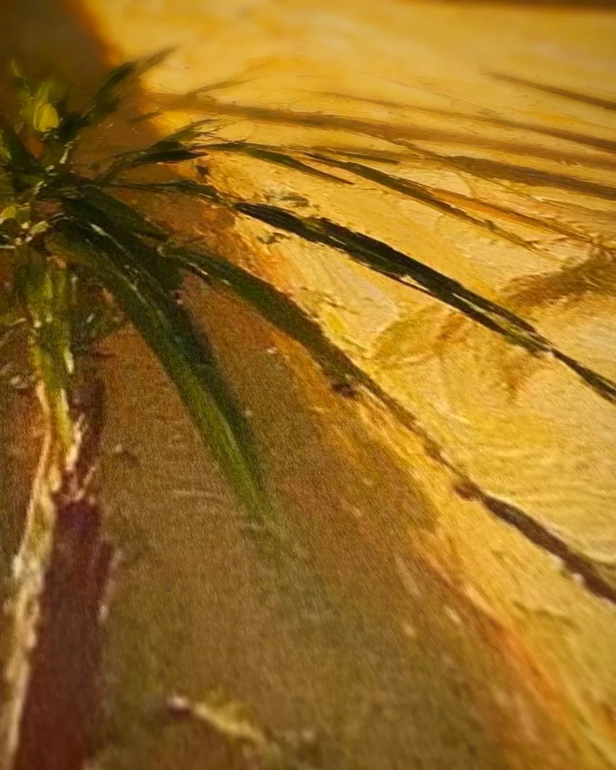 Schaduw van een plant op geweven fluweel, uitsnede 2 van 3