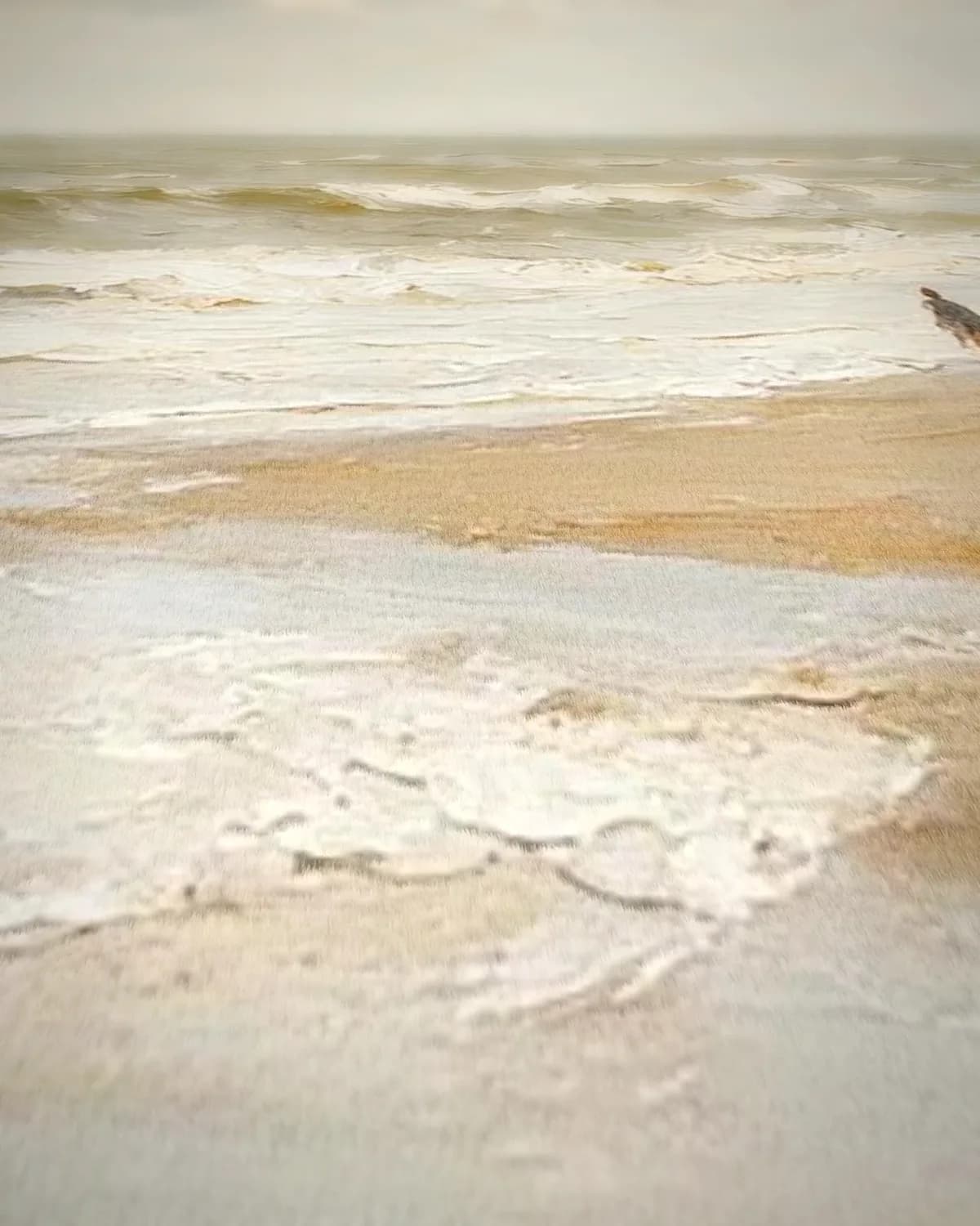 Schuim op nat zand op geweven fluweel, uitsnede 1 van 3