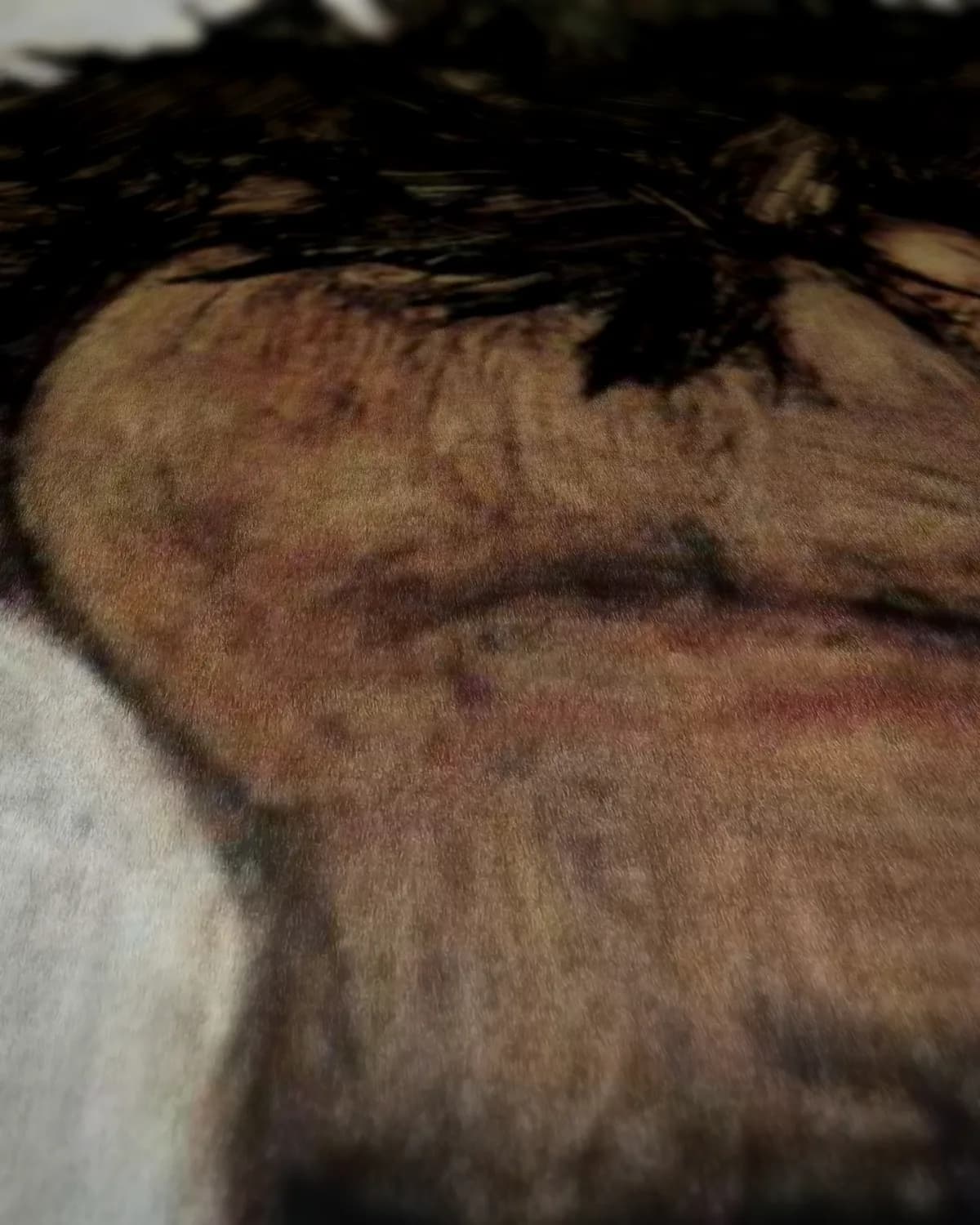 Zelfportret met gebogen hoofd op geweven fluweel, uitsnede 1 van 3