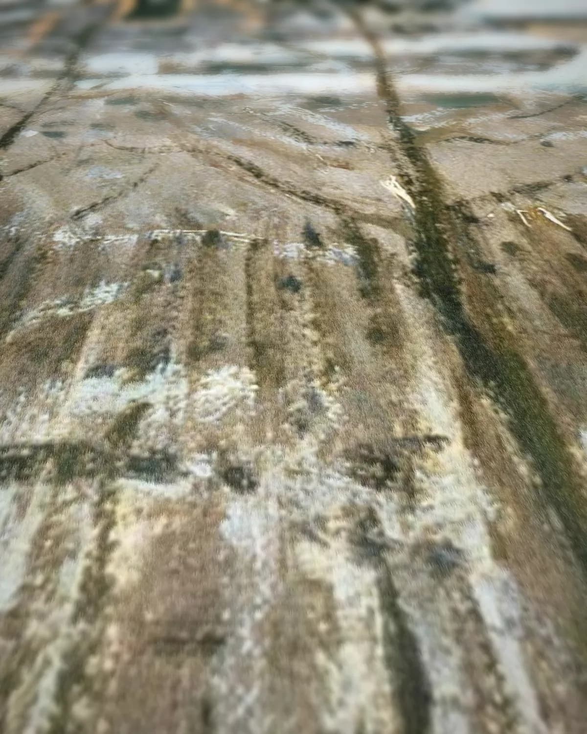 Sneeuw in Louveciennes (1878) op geweven fluweel, uitsnede 1 van 3