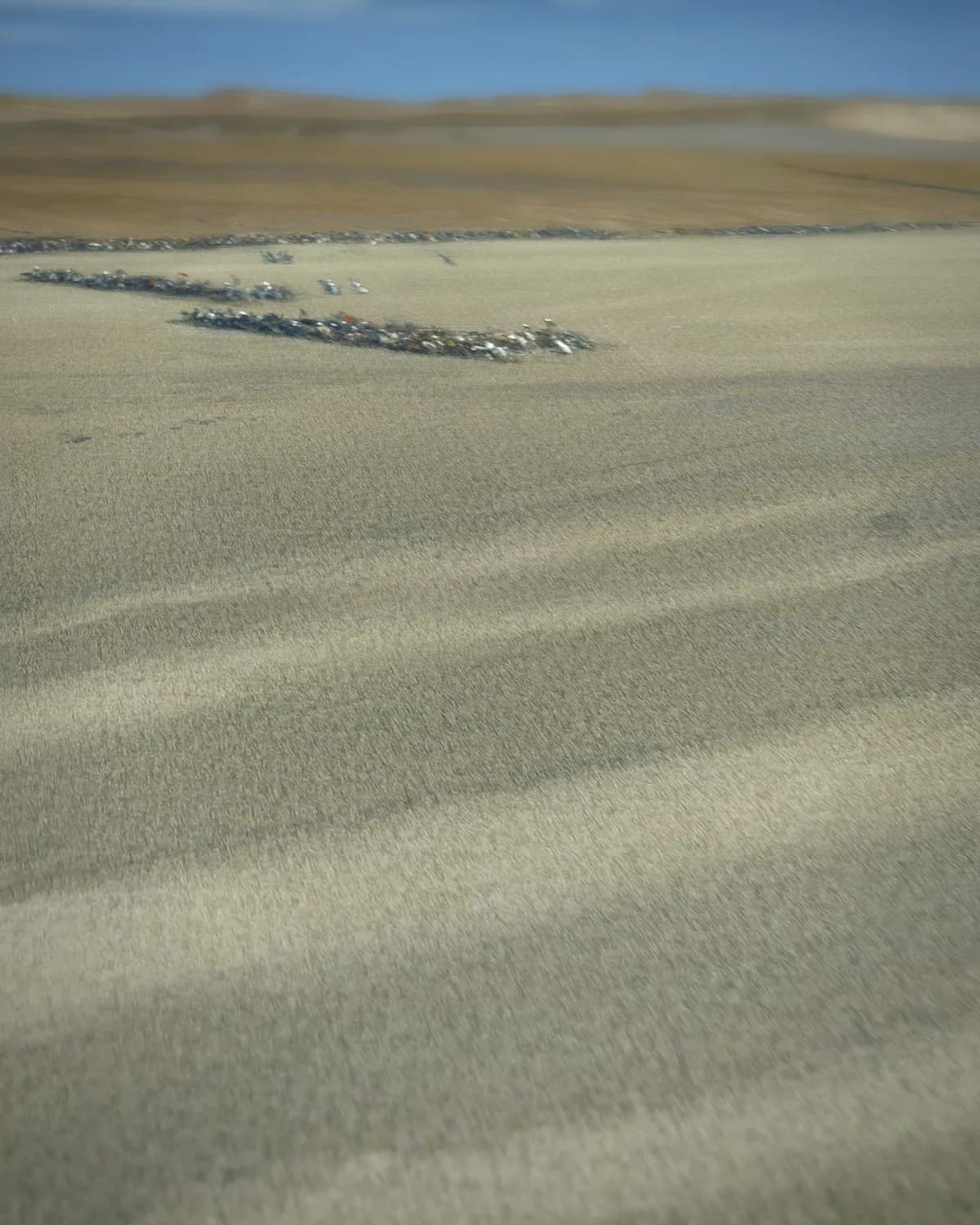 Tijger op de loer op geweven fluweel, uitsnede 2 van 3