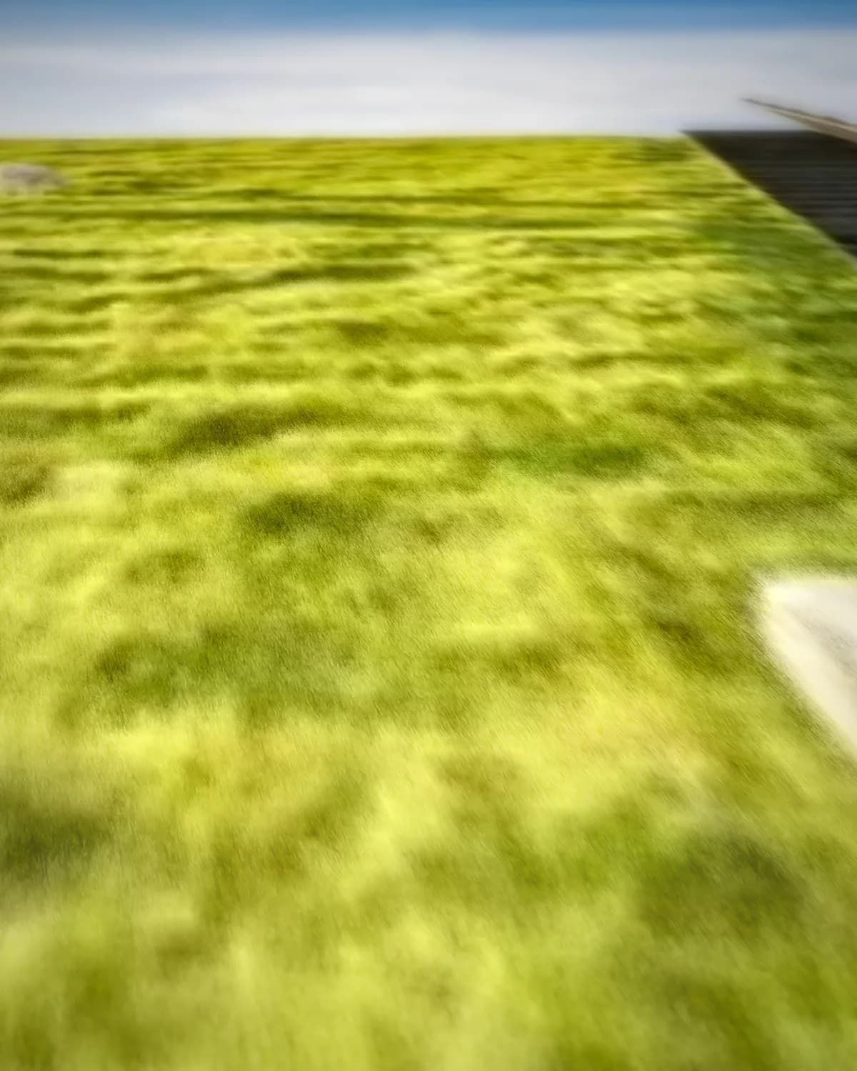 Trap met schapen op geweven fluweel, uitsnede 2 van 3