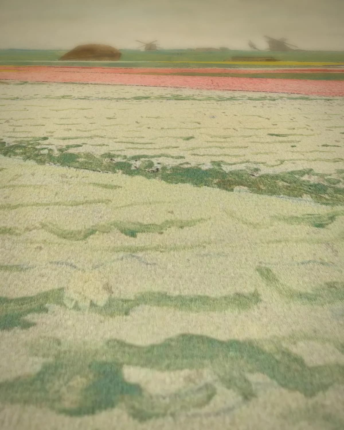 Tulpenvelden op geweven fluweel, uitsnede 1 van 3
