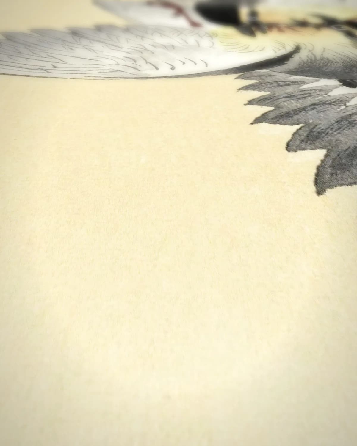Twee vechtende vogels op geweven fluweel, uitsnede 1 van 3