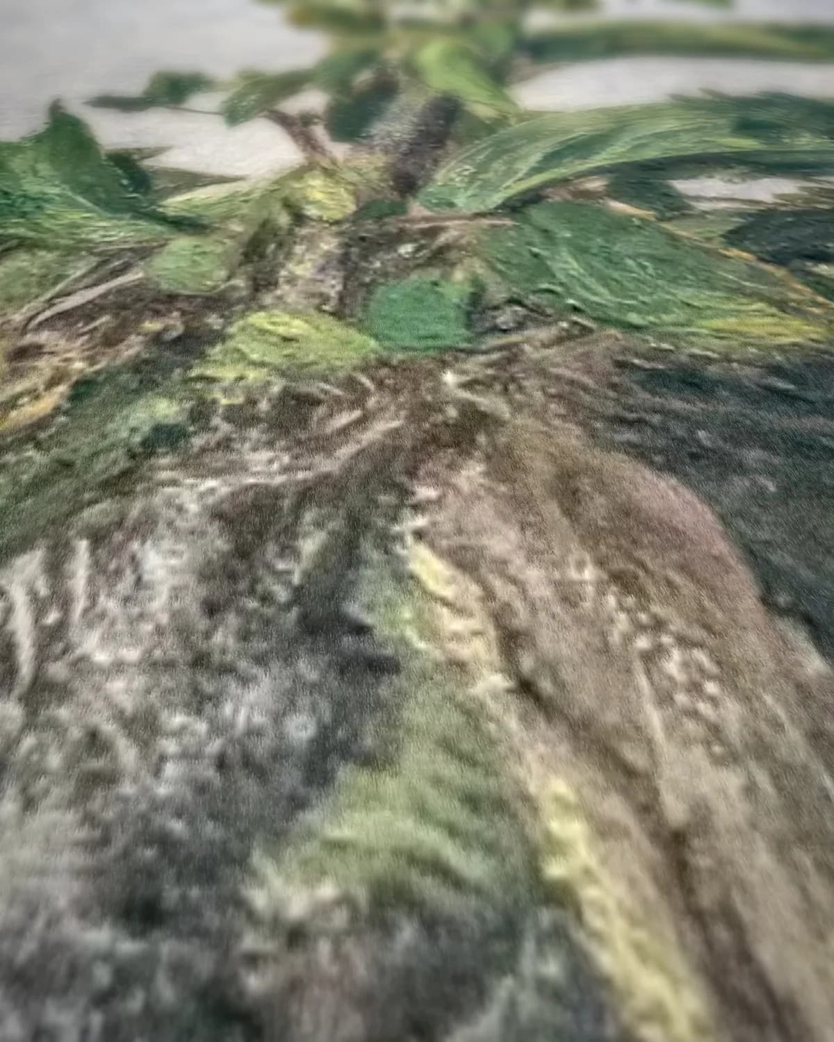 Vaas met appels en gebladerte op geweven fluweel, uitsnede 1 van 3