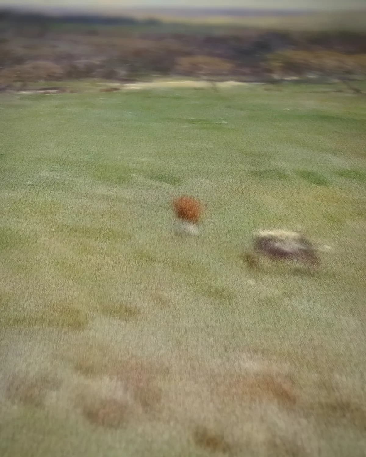 Vallei in de lente op geweven fluweel, uitsnede 1 van 3