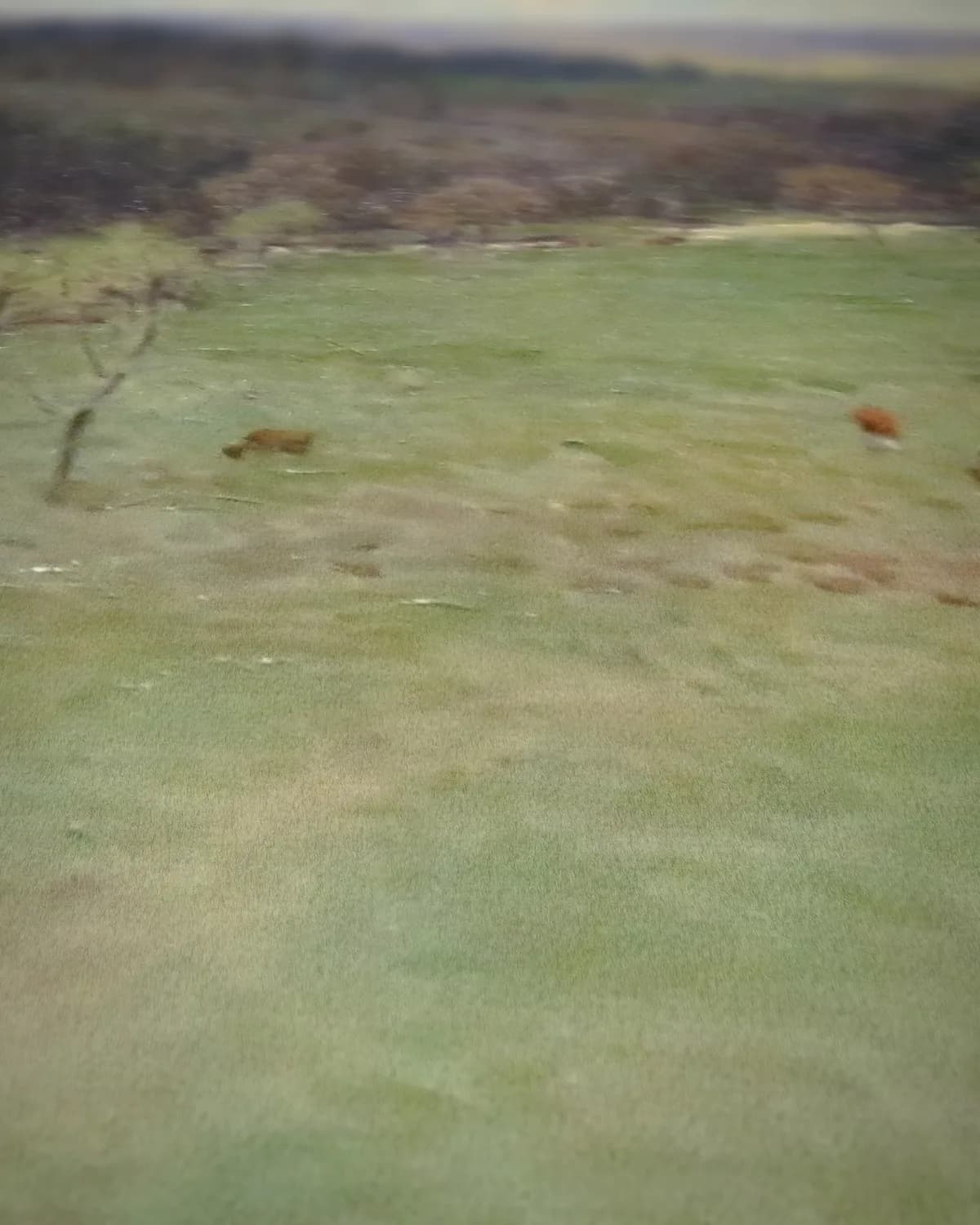 Vallei in de lente op geweven fluweel, uitsnede 3 van 3