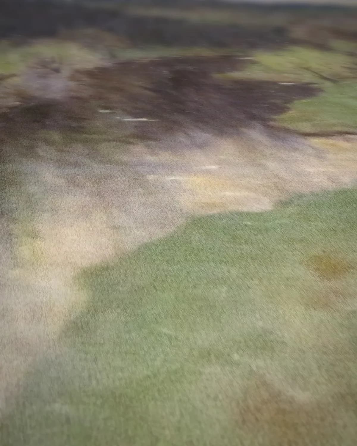 Vallei in de lente op geweven fluweel, uitsnede 2 van 3