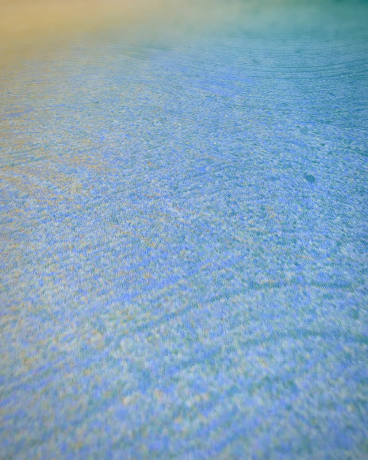 Verstilde Kleuren op geweven fluweel, uitsnede 1 van 3