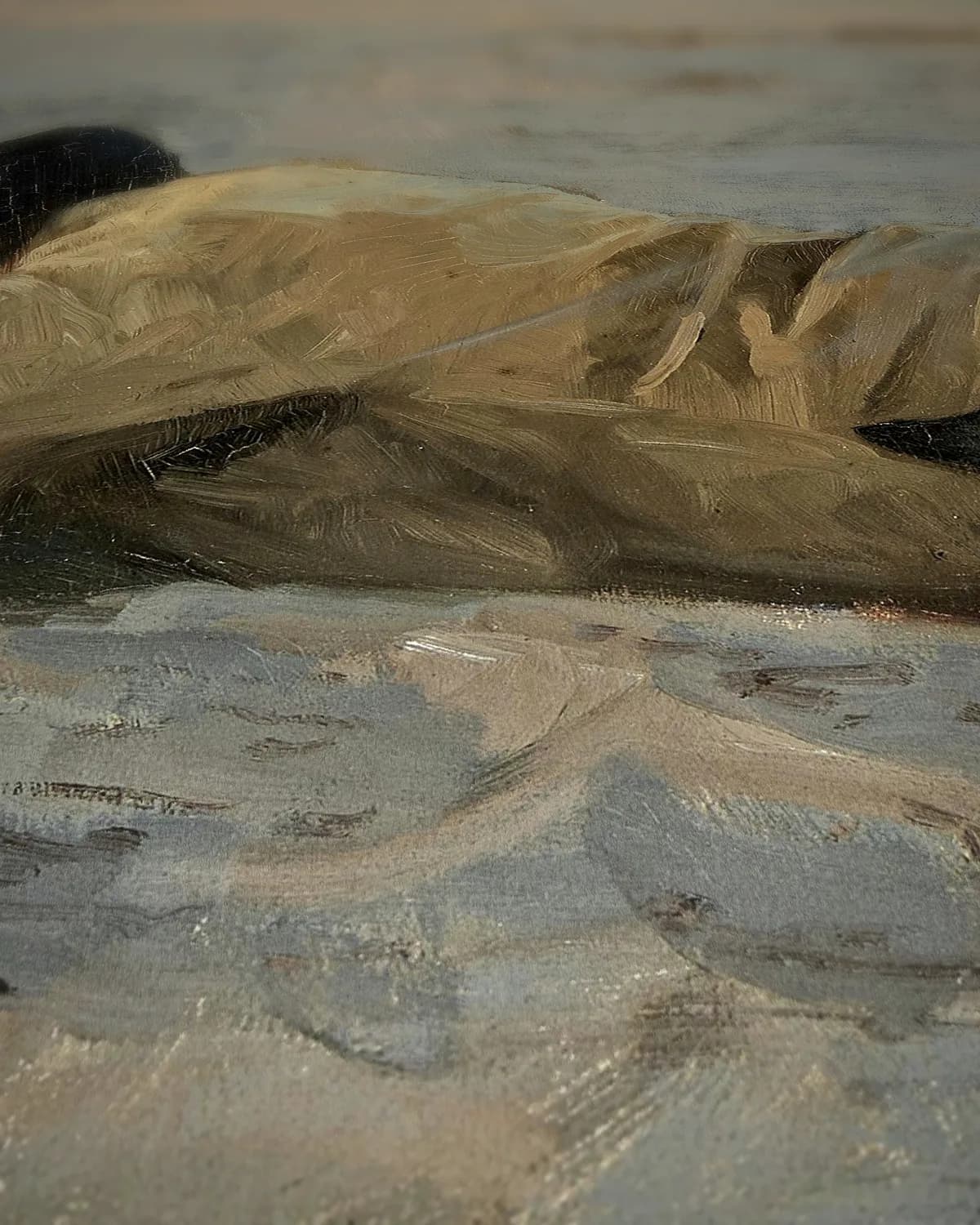 Visser liggend in het zand op geweven fluweel, uitsnede 3 van 3