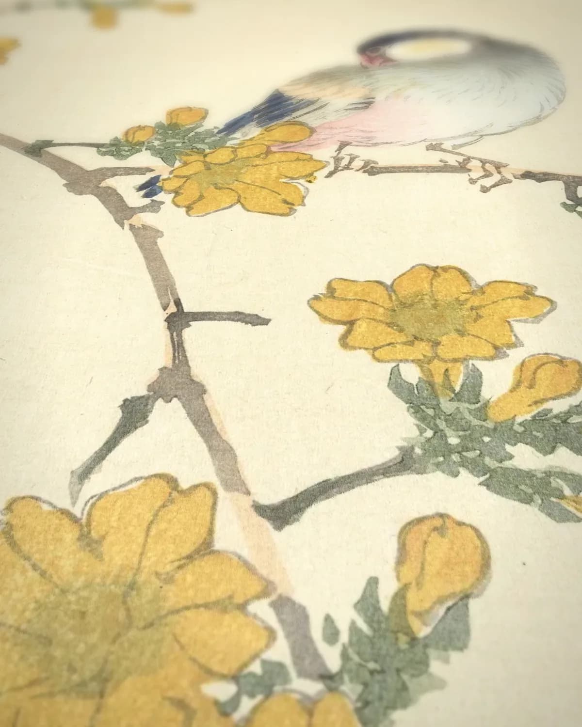 Vogel op tak met gele bloesem op geweven fluweel, uitsnede 3 van 3