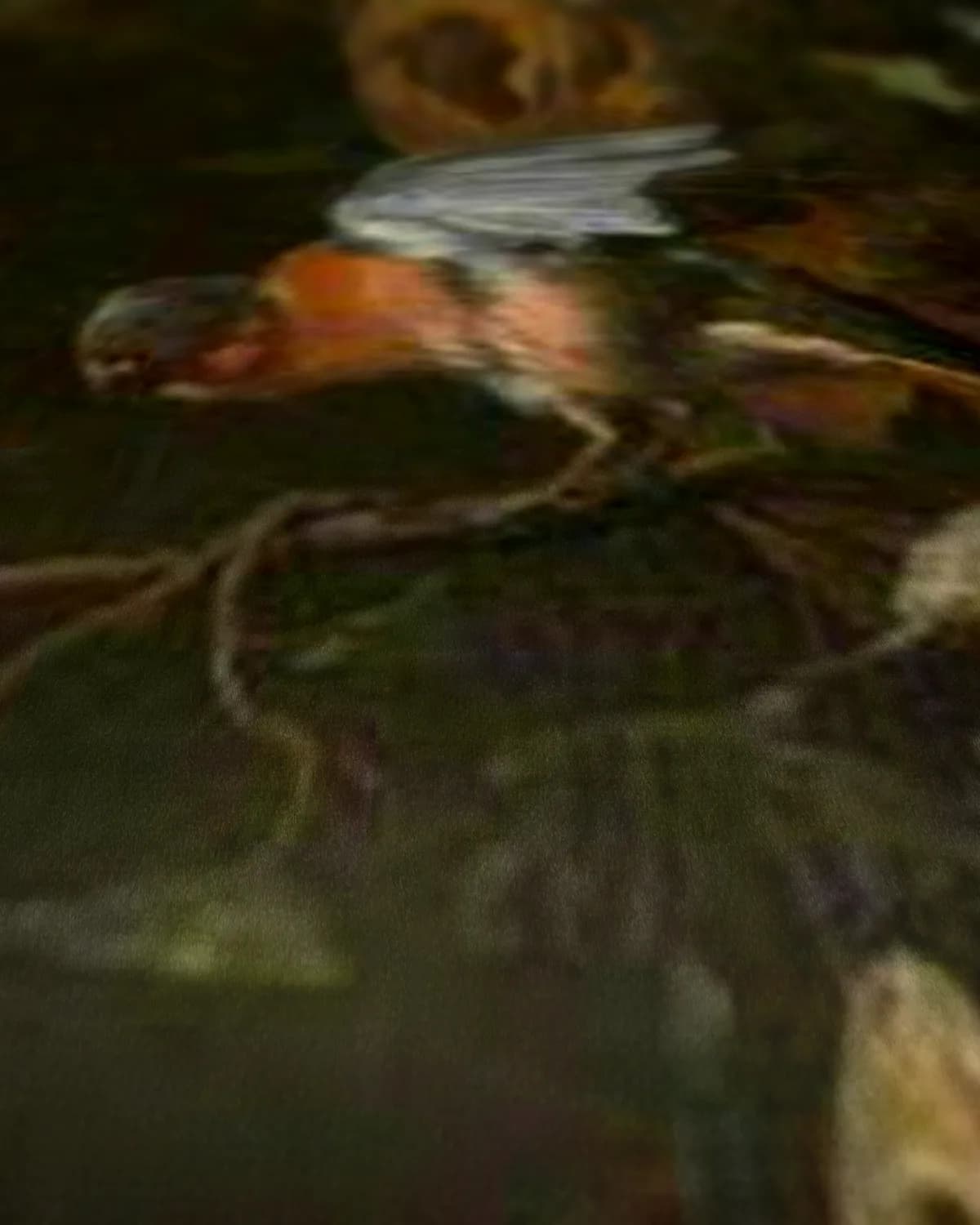 Vogels, vlinders en een kikker op geweven fluweel, uitsnede 3 van 3