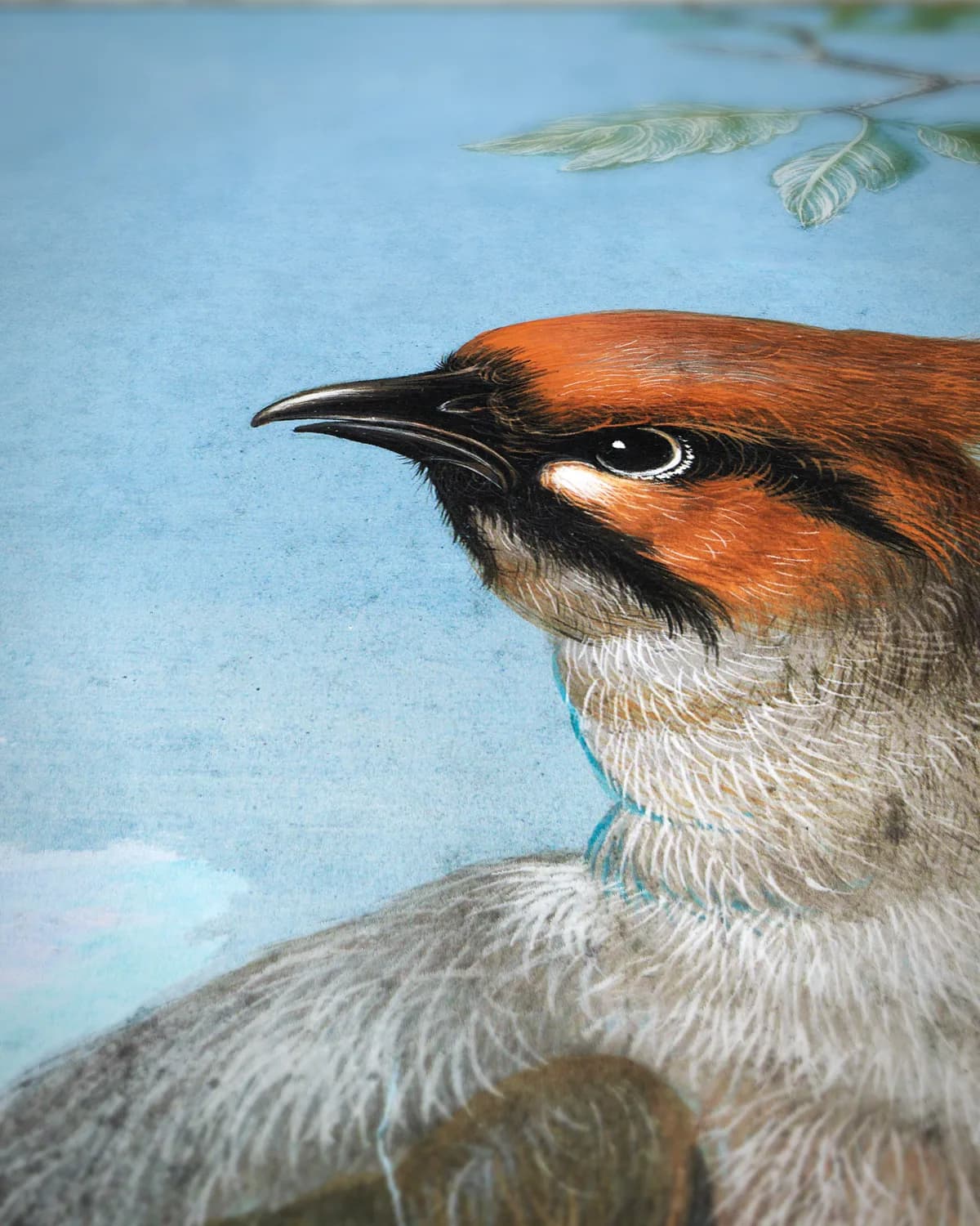 Vogelstudie op geweven fluweel, uitsnede 3 van 3