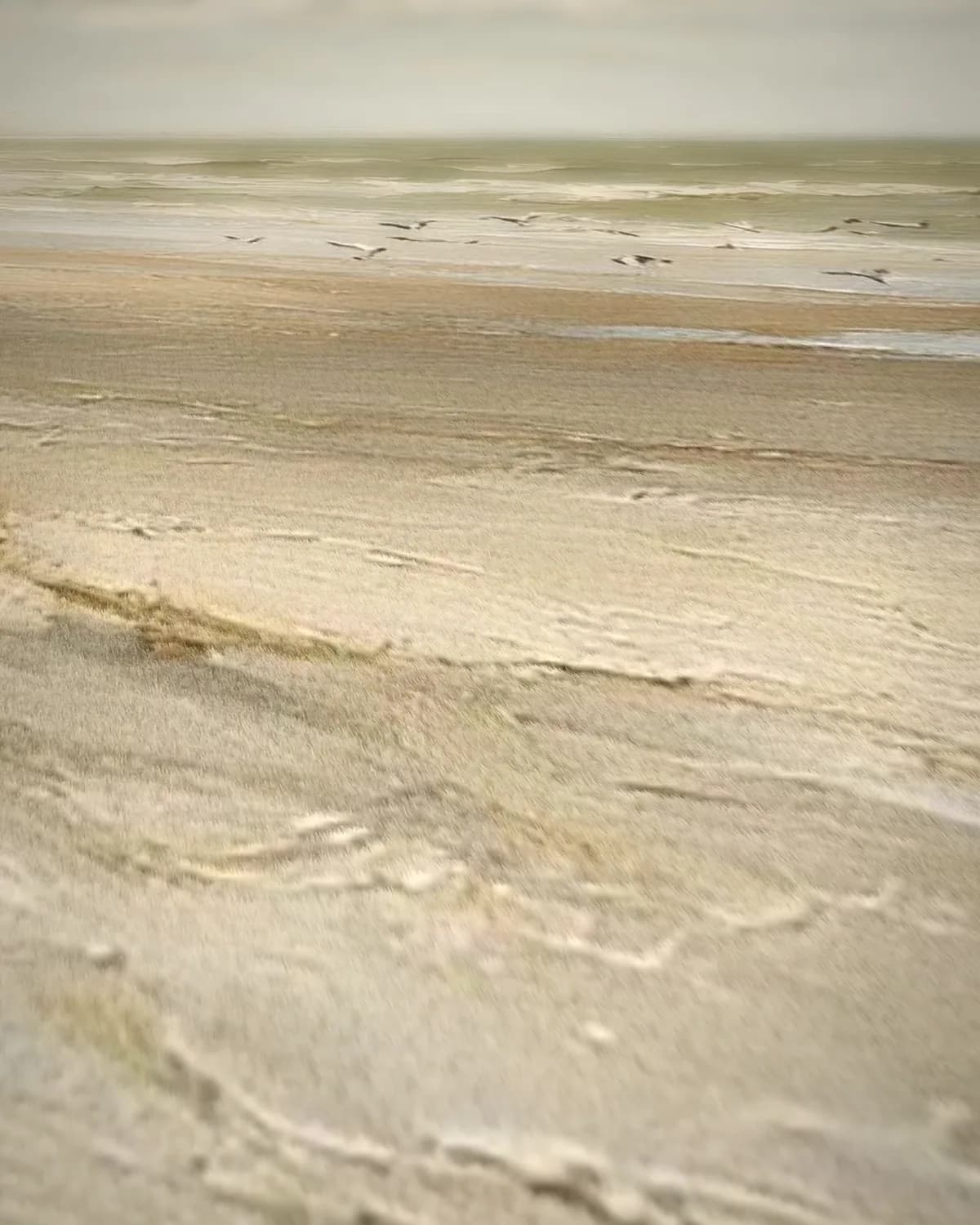 Wandelaar op het strand op geweven fluweel, uitsnede 2 van 3