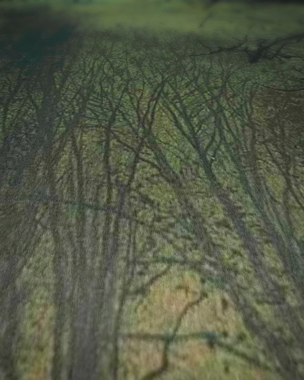 Winternacht met maanlicht (besneeuwde laan) op geweven fluweel, uitsnede 1 van 3