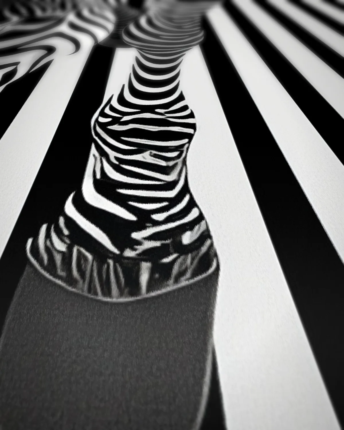 Zebra illusie op geweven fluweel, uitsnede 1 van 3