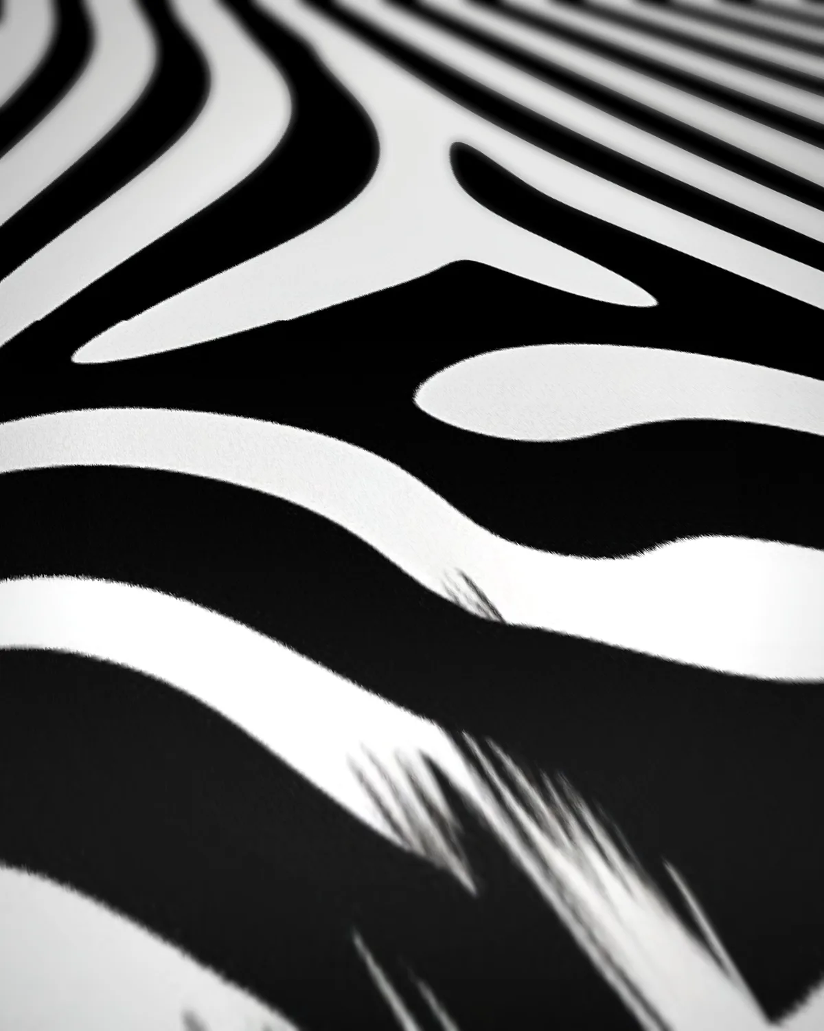 Zebra illusie op geweven fluweel, uitsnede 2 van 3