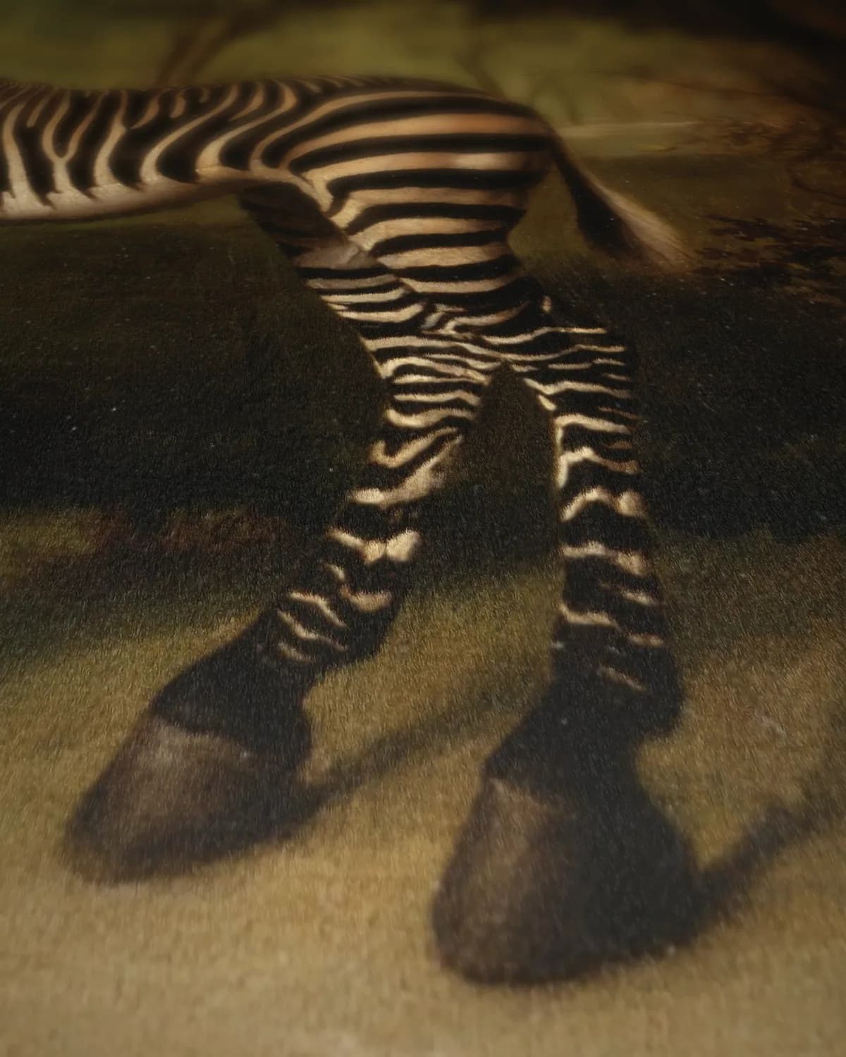 Zebra, portret van een exotisch dier op geweven fluweel, uitsnede 1 van 3