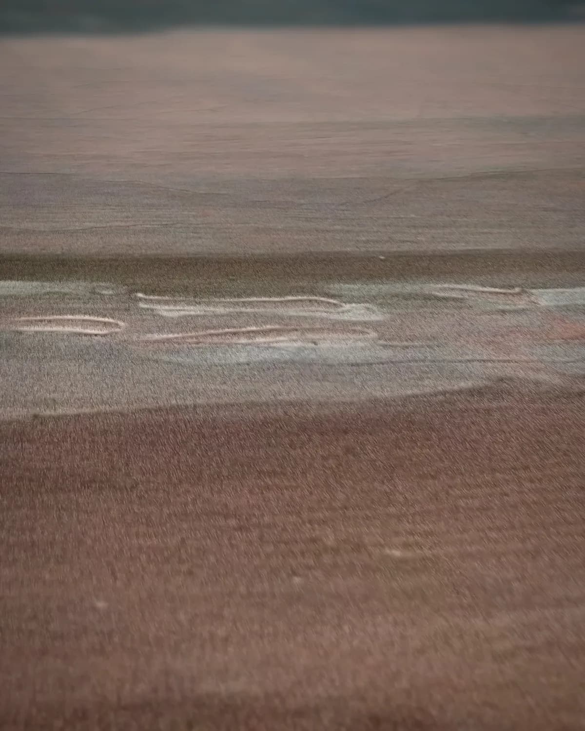 Zeegezicht bij Viareggio op geweven fluweel, uitsnede 2 van 3
