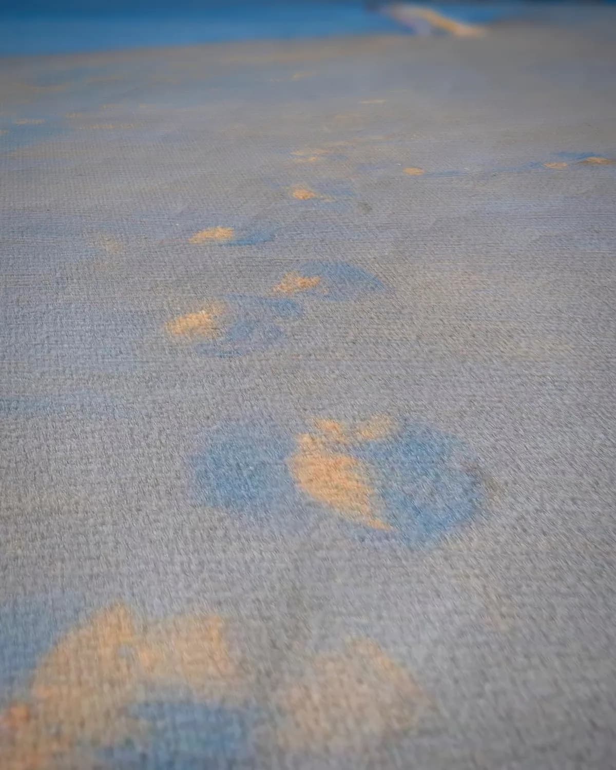 Zomeravond op het zuiderstrand van Skagen, Anna Ancher en Marie op geweven fluweel, uitsnede 2 van 3