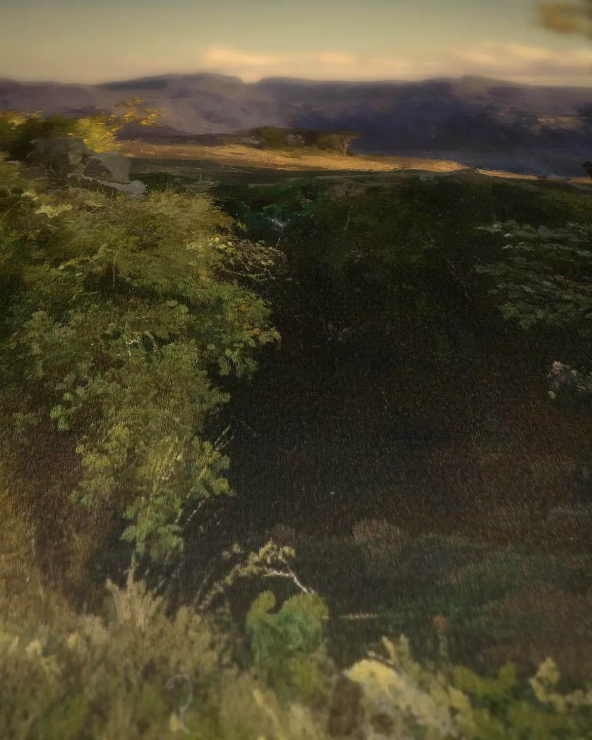 Zonnig berglandschap op geweven fluweel, uitsnede 1 van 3
