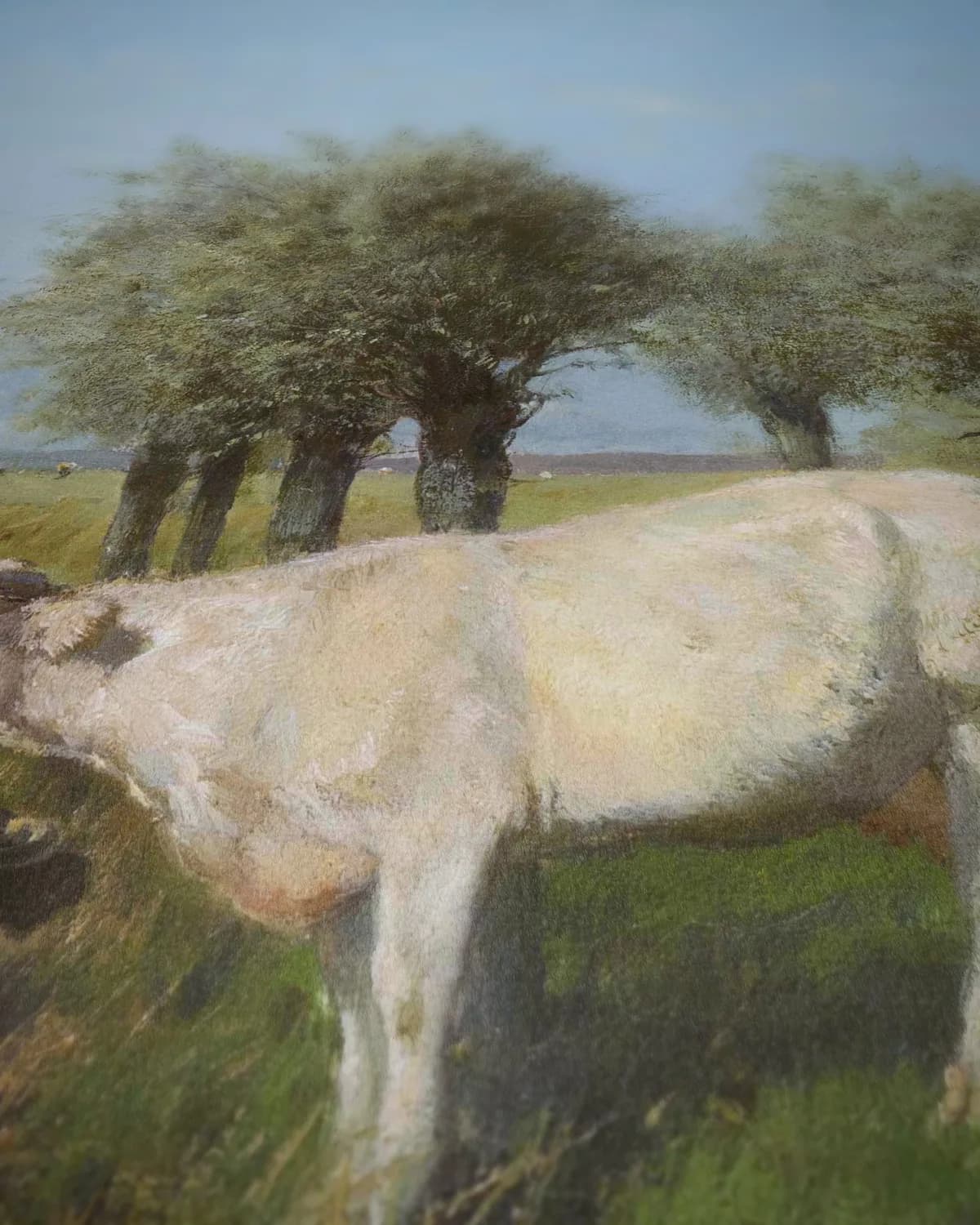 Zonnig weiland op geweven fluweel, uitsnede 3 van 3