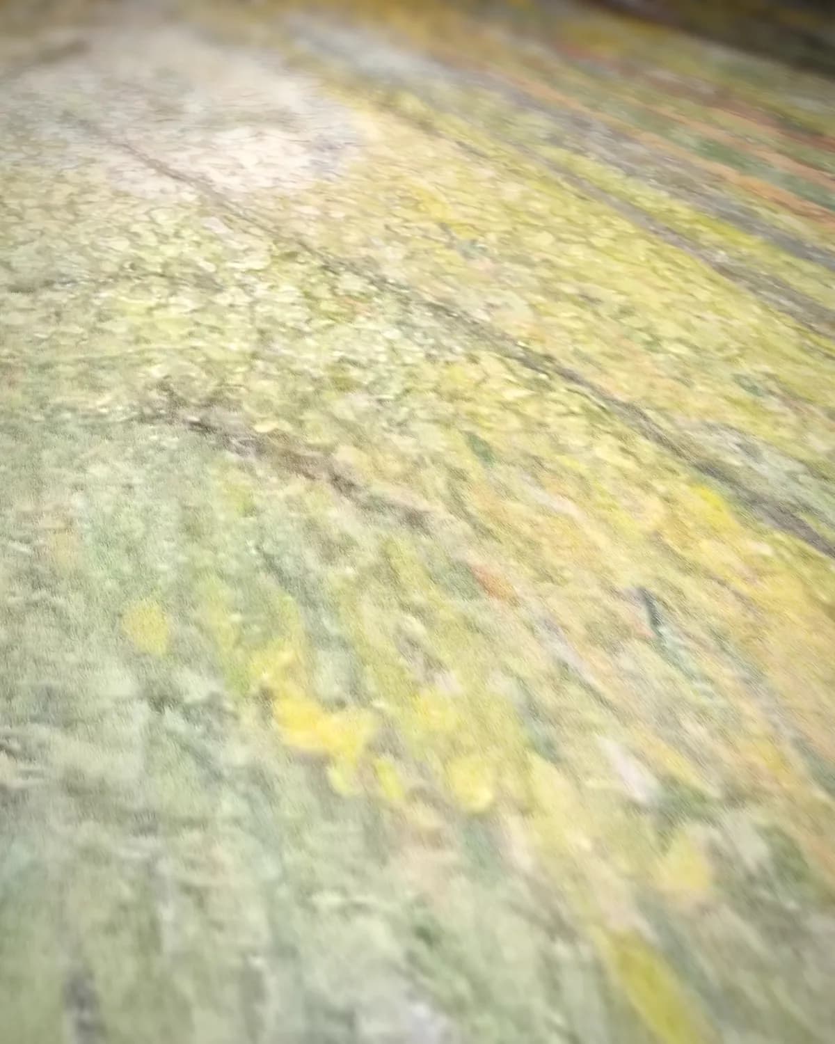 Zonnige laan met fontein op geweven fluweel, uitsnede 2 van 3