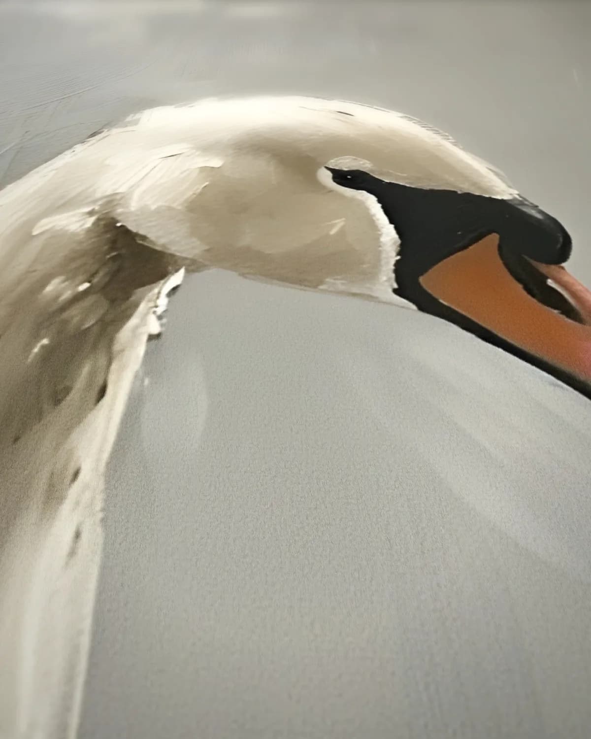 Zwaan in Stijl op geweven fluweel, uitsnede 3 van 3