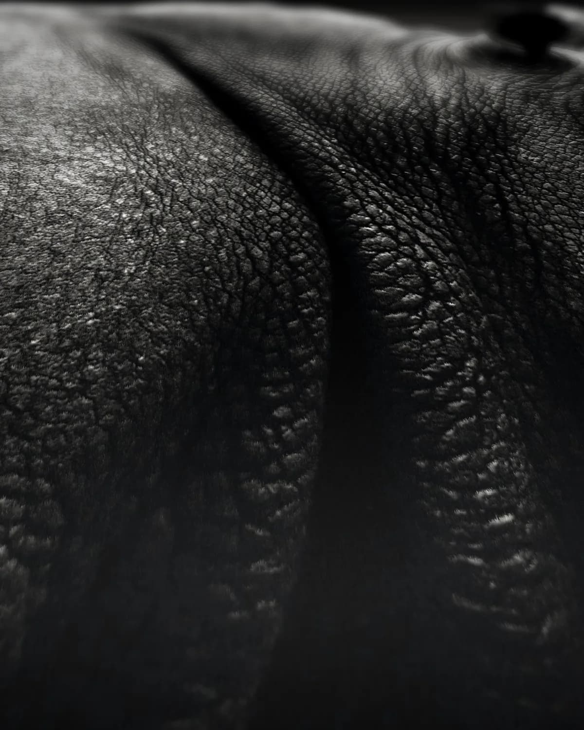 Zwart-Wit Neushoorn op geweven fluweel, uitsnede 1 van 3