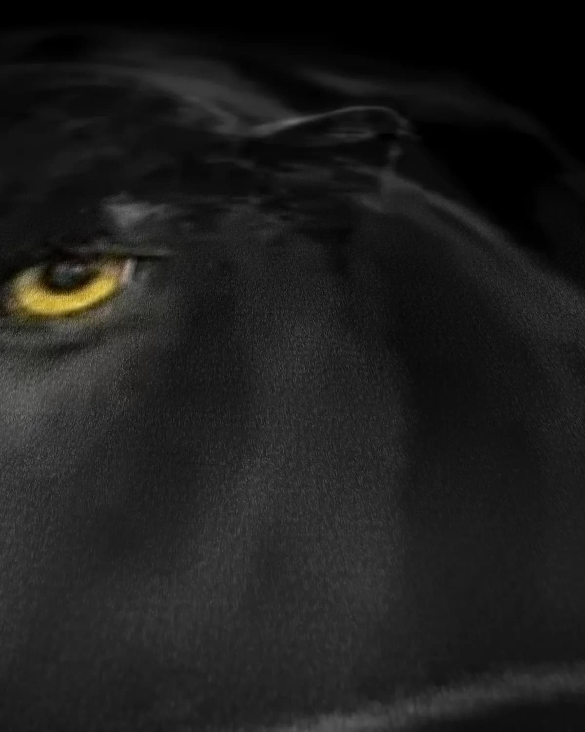 Zwarte panter op geweven fluweel, uitsnede 1 van 3