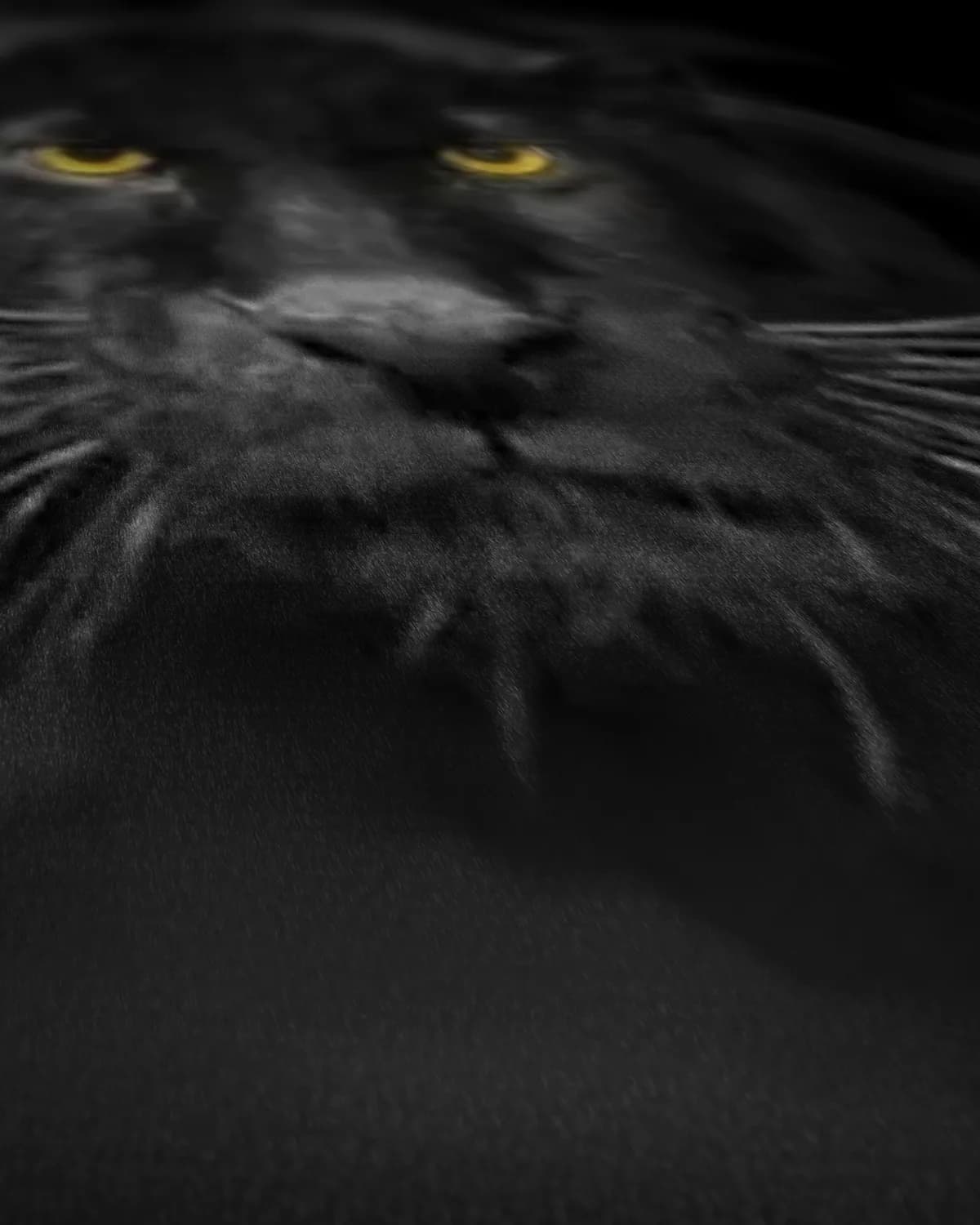 Zwarte panter op geweven fluweel, uitsnede 2 van 3