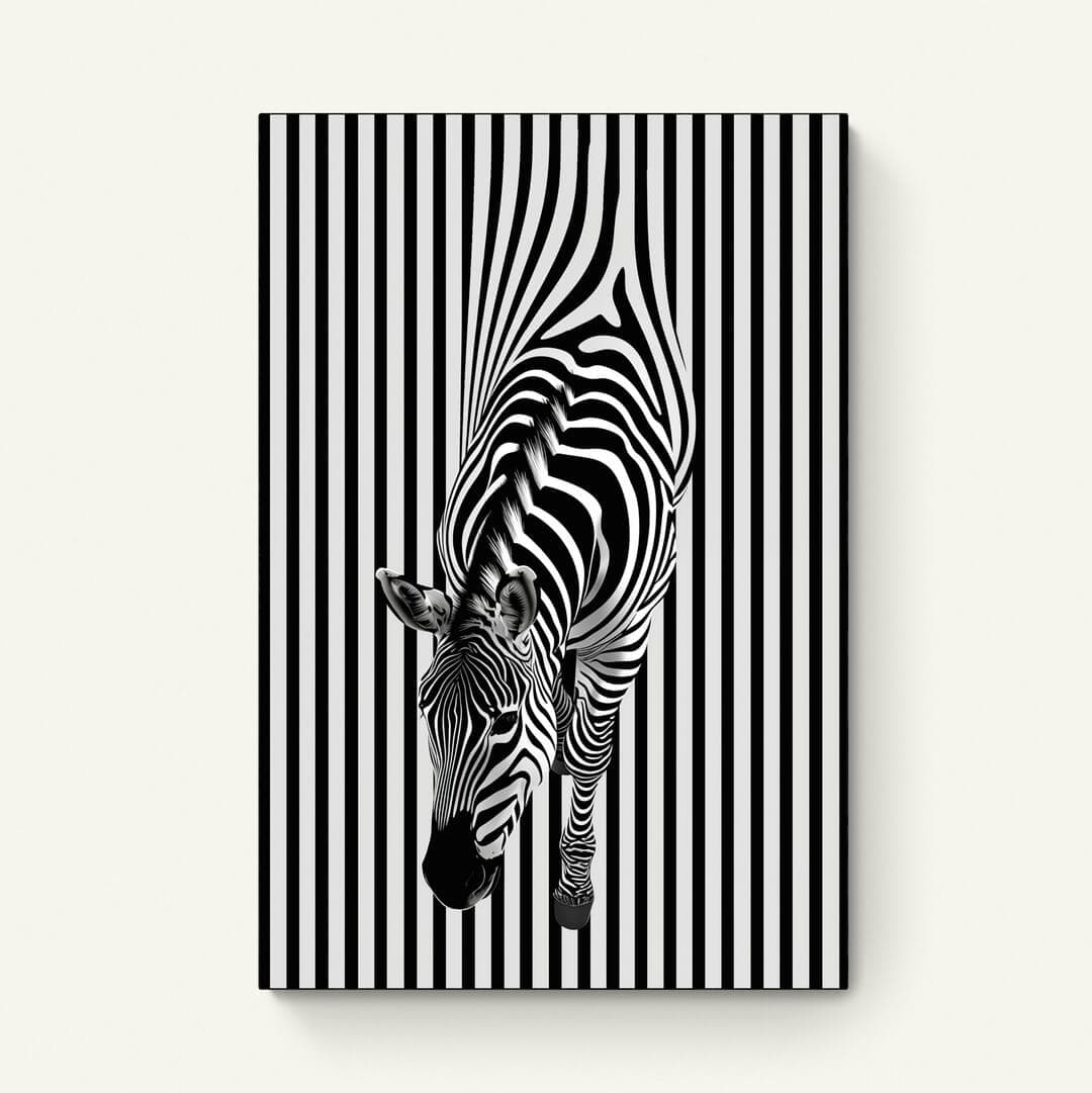 Zebra illusie