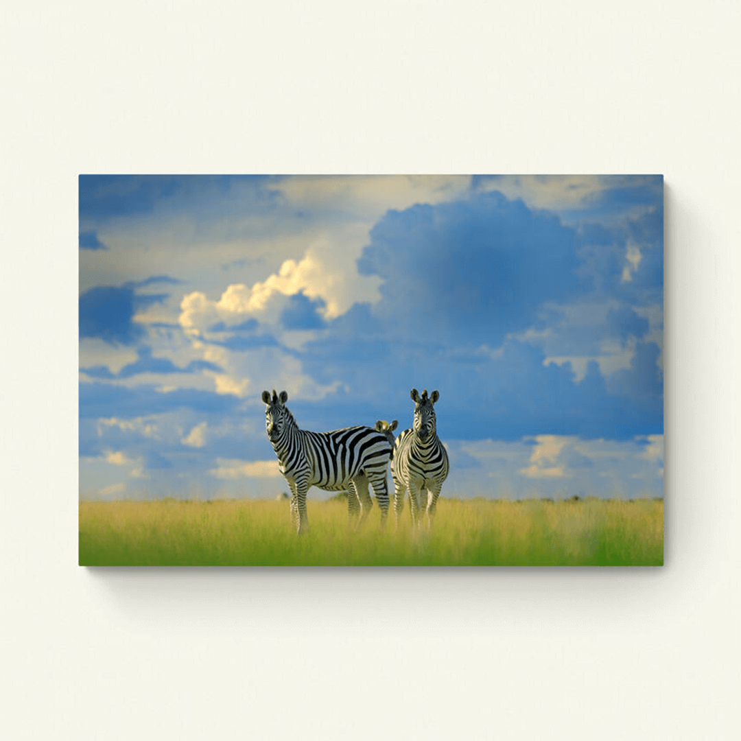 Zebra koppel