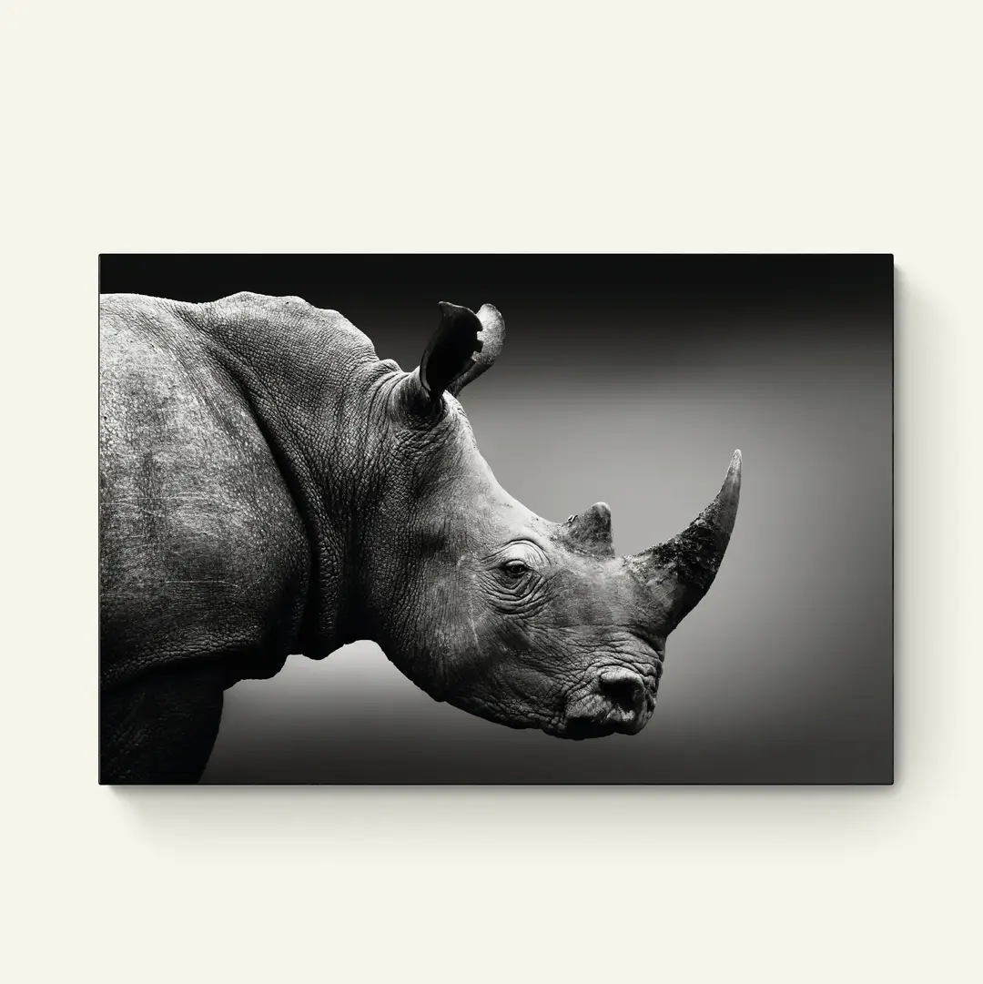 Zwart-Wit Neushoorn