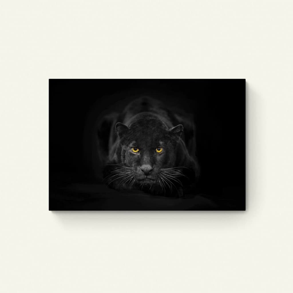 Zwarte panter